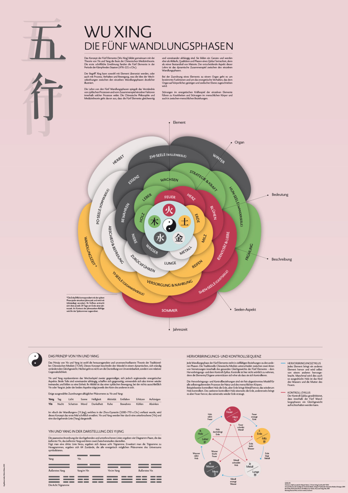 Infografik-Poster der Fünf Elemente Wu Xing und deren Bedeutung für die zugeordneten Organe, ebenso enthalten das Konzept von Yin und Yang und der Hervorbringungszyklus
