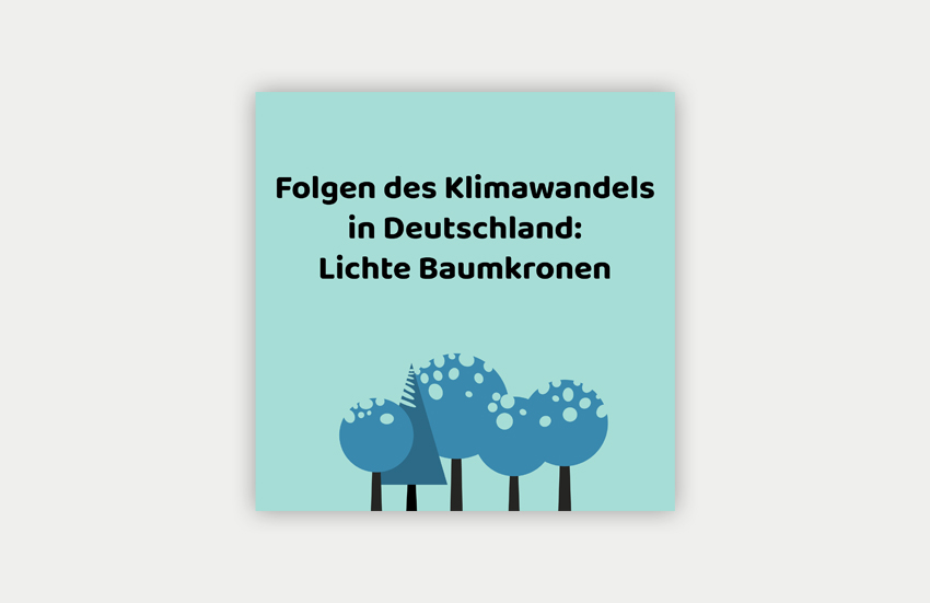 Cover der Infografik zur Verlichtung der Baumkronen in Deutschland