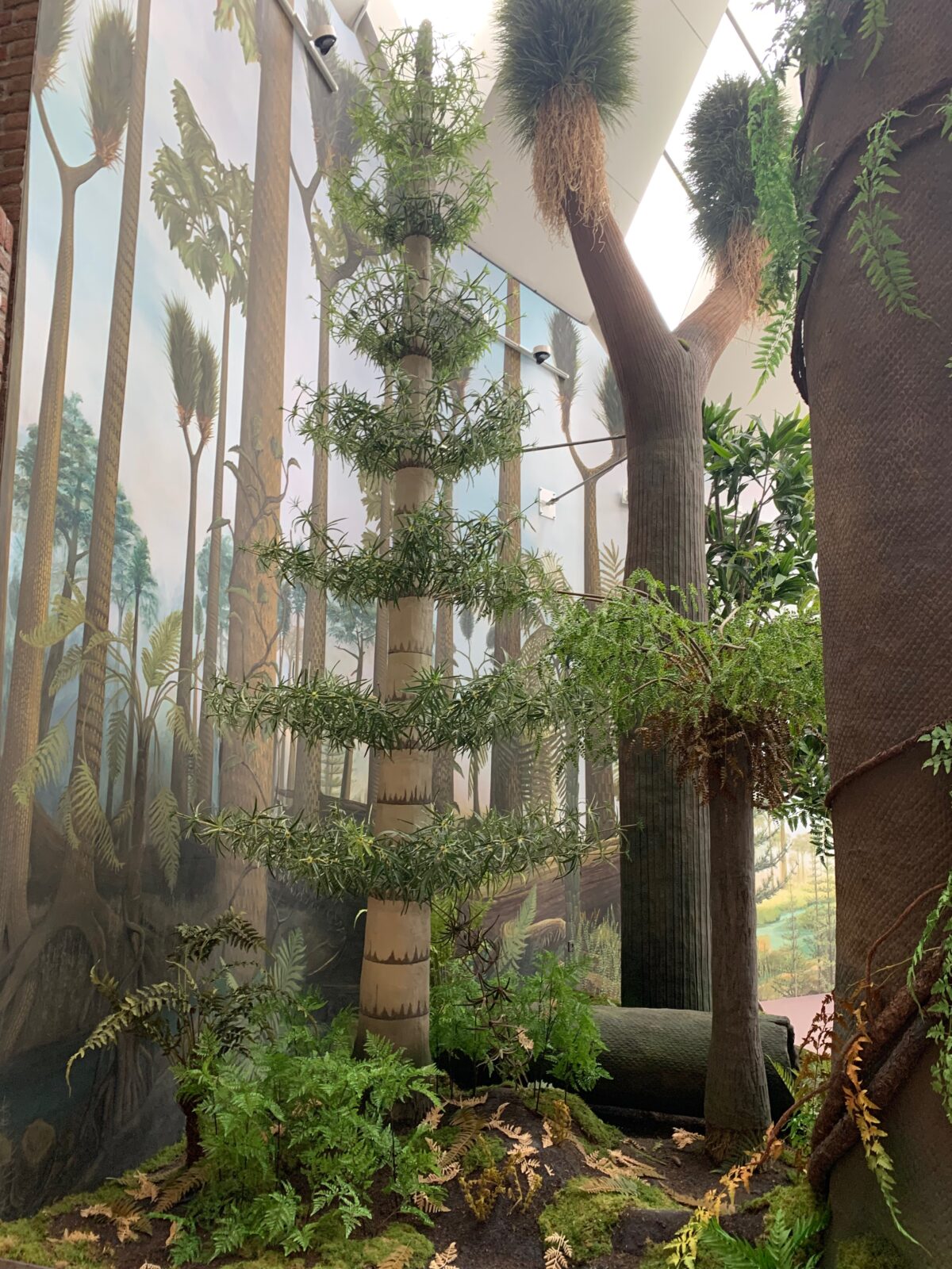 Ausschnitt aus der Malerei der Hintergrundbemalung eines Dioramas mit davor stehenden Pflanzen. Motiv ist ein Karbonwald mit Bäumen und einem See. Ausstellungsort ist das Museum am Schoelerberg in Osnabrück